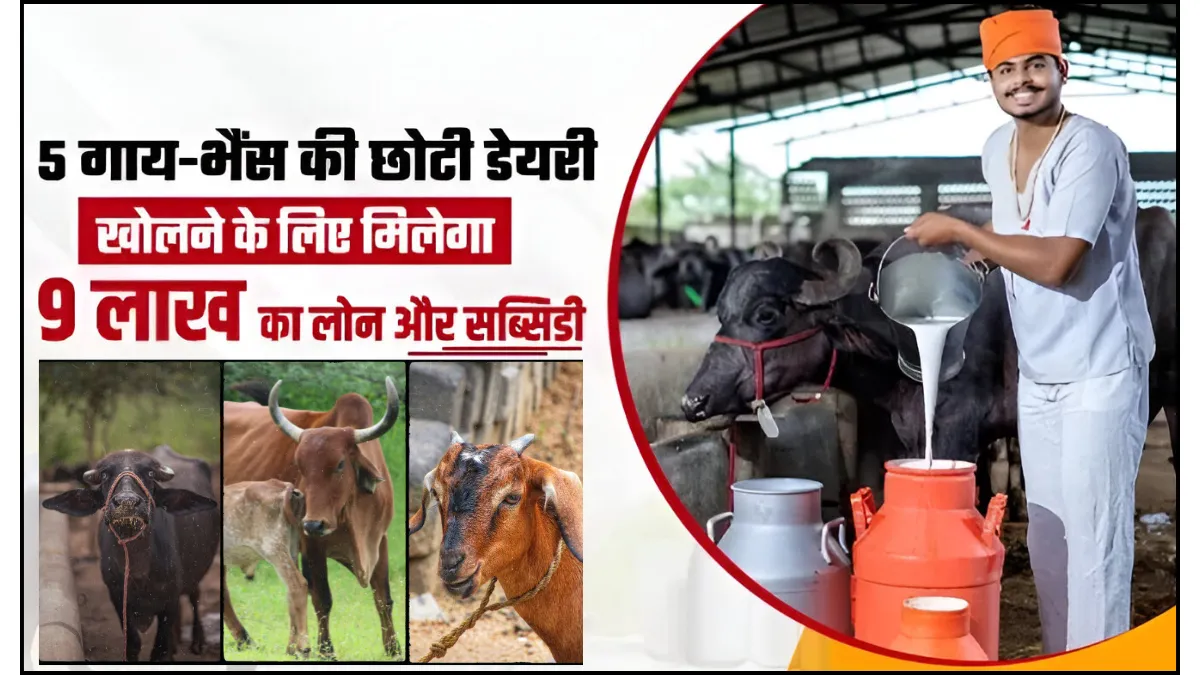Gaay Bhains Loan 2025